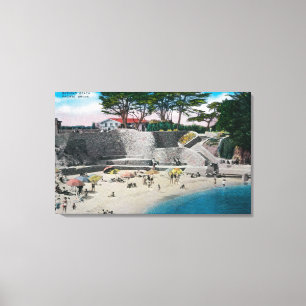 Baden-Strand an der pazifischen Waldung Leinwanddruck