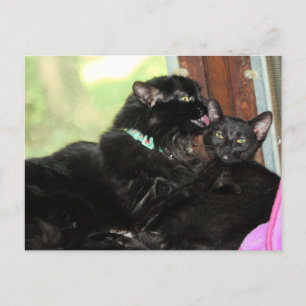 Badenzeit Feiertagspostkarte