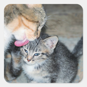 Badenzeit Quadratischer Aufkleber