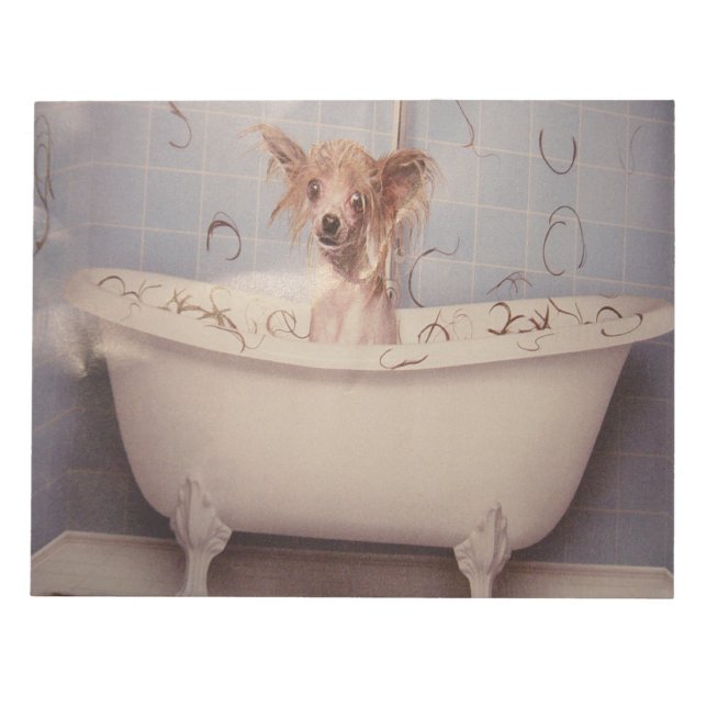 BADEPUPPY NOTIZBLOCK (Vorderseite)