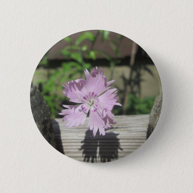Bäder Pink Dianthus auf Zaun Button (Vorderseite)