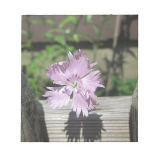 Bäder Pink Dianthus auf Zaun Notizblock