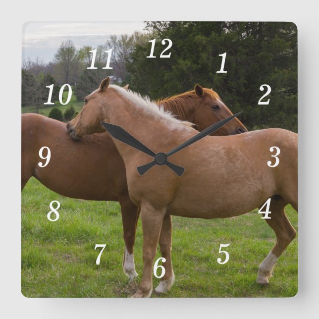 Baderauer Uhr (Vorderseite)