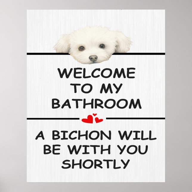 Badezimmer Bichon Frise Poster (Vorne)