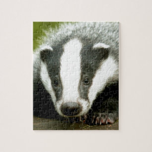 Badger - Atemberaubend pro Foto! Puzzle