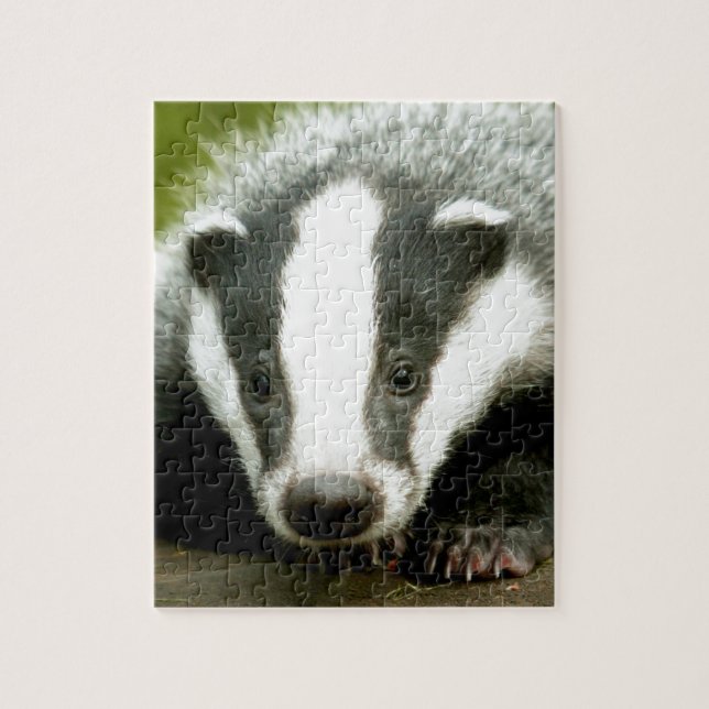Badger - Atemberaubend pro Foto! Puzzle (Vertikal)