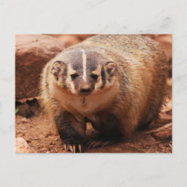 Badger Feiertagspostkarte