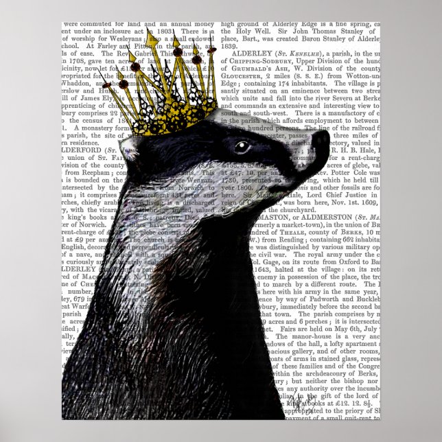 Badger King Poster (Vorne)