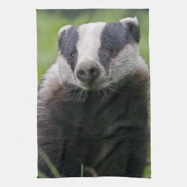 Badger Küchentücher (Vertikal)