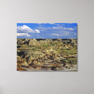 Badlands-Formationen im Dinosaur Provincial Park 4 Leinwanddruck