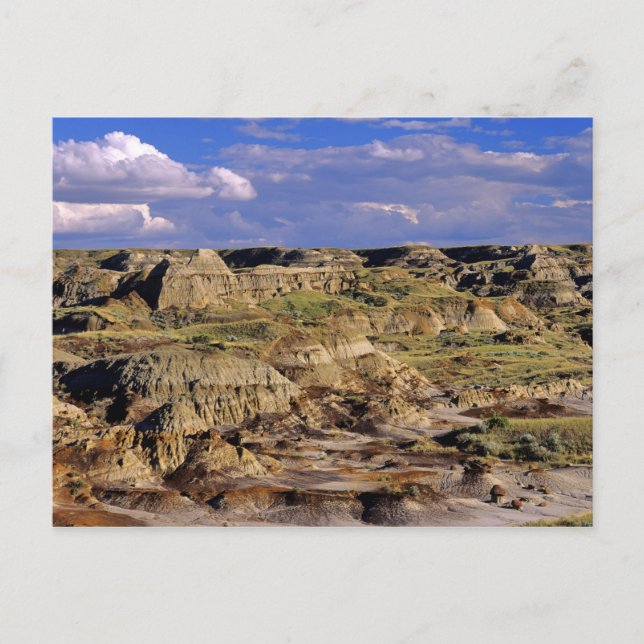Badlands im Dinosaur Provincial Park in Alberta, 2 Postkarte (Vorderseite)