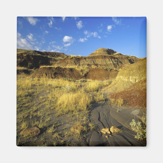 Badlands im Dinosaur Provincial Park in Alberta, Magnet (Vorne)