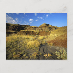 Badlands im Dinosaur Provincial Park in Alberta, Postkarte