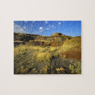 Badlands im Dinosaur Provincial Park in Alberta, Puzzle