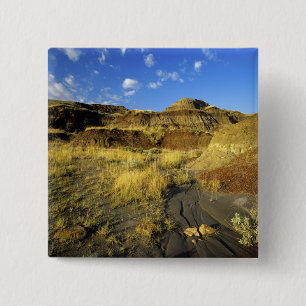 Badlands im Provinzialpark Dinosaur in Alberta, Button