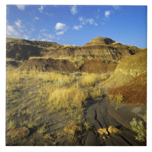 Badlands im Provinzialpark Dinosaur in Alberta, Fliese