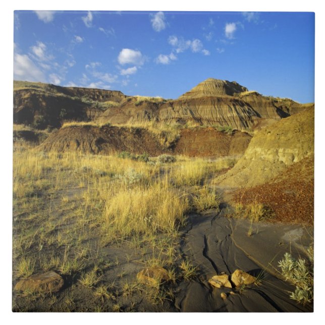 Badlands im Provinzialpark Dinosaur in Alberta, Fliese (Vorderseite)