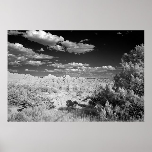 Badlands-Nationalpark Poster (Vorne)