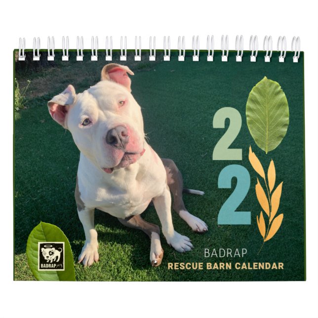 BADRAP Rescue Barn 2021 Kalender (Titelbild)