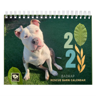 BADRAP Rescue Barn 2021 Kalender