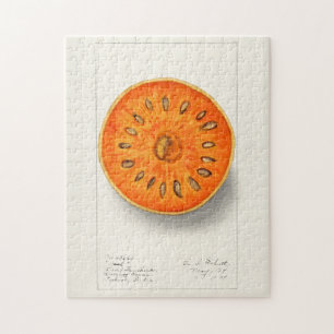 Bael (Aegle Marmelos) Fruchtfarben Puzzle