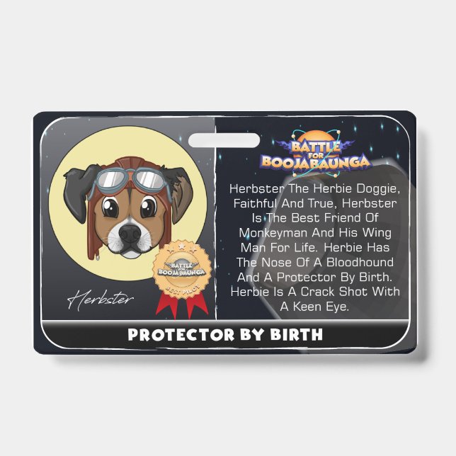 BAF HERBSTER AUSWEIS (Vorderseite)