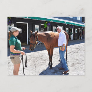 Baffert Checking under the Hood Postkarte