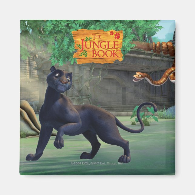 Bagheera 3 magnet (Vorne)