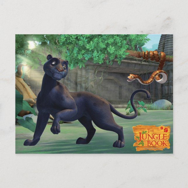 Bagheera 3 postkarte (Vorderseite)
