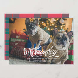 Bah Humbug Albern Pet Foto Holiday Card Einladung