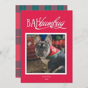 Bah Humbug Albern Pet Foto Holiday Card Einladung