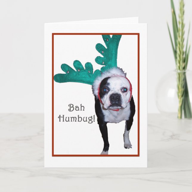 Bah Humbug! - Boston Terrier Feiertagskarte (Vorderseite)