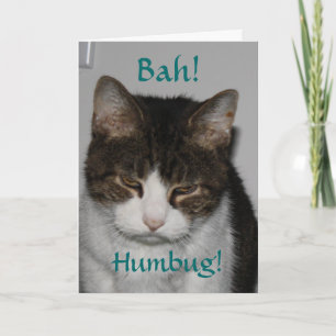 Bah! Humbug! - Der Feiertags-Gruß-Karte der Katze Feiertagskarte