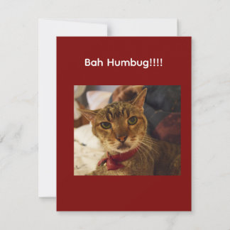 Bah-Humbug-Katze mit Schmollmund Feiertagskarte