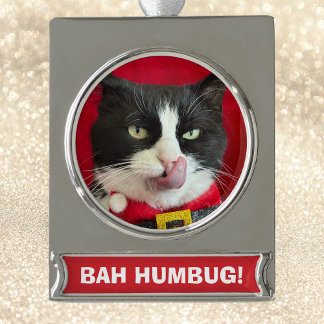 Bah Humbug Tuxedo Weihnachtsschmuck Banner-Ornament Silber