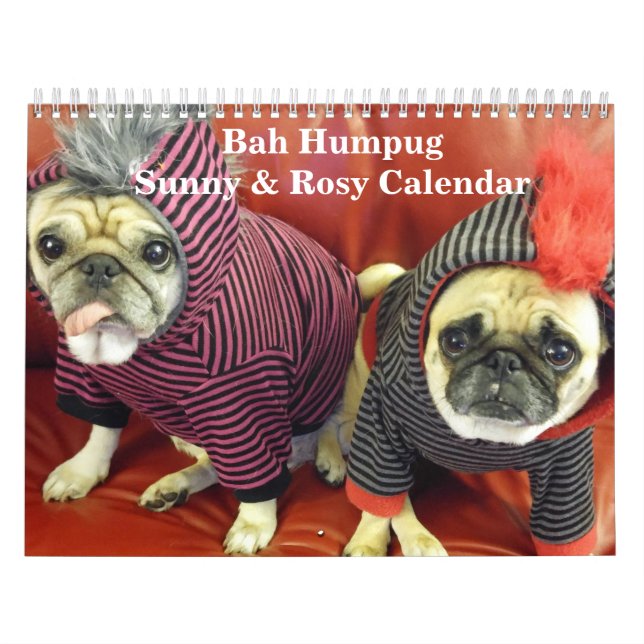 Bah Humpug sonniger u. rosiger Kalender 2016 (Titelbild)