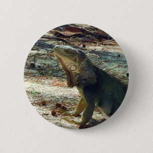 Bahama Leguan-Knopf Button
