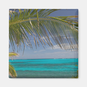 BAHAMAS, Abacos, Loyalist Cays, Man O-War Cay: Magnet