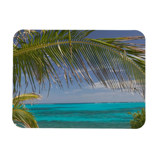 BAHAMAS, Abacos, Loyalist Cays, Man O'War Cay: Magnet (Horizontal)