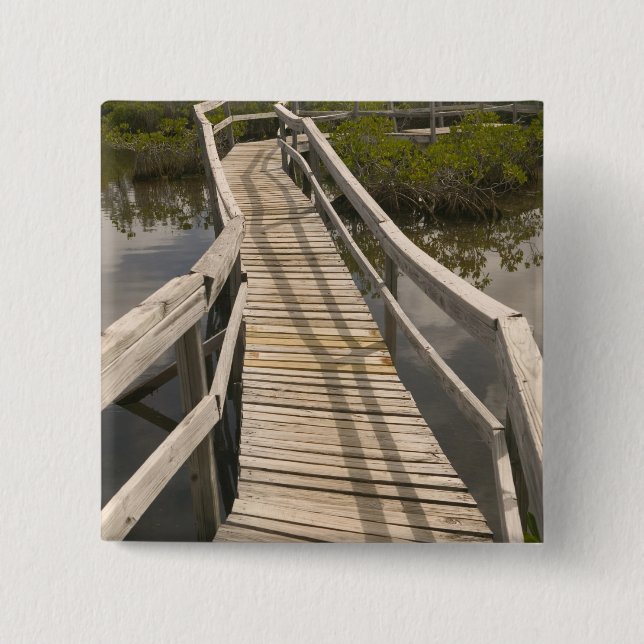 BAHAMAS, Grand Bahama Island, Ostseite: Button (Vorderseite)