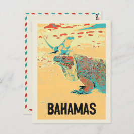 Bahamas Karibik, typisch Karibik Iguana Postca Postkarte