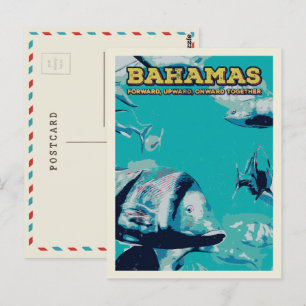 Bahamas Karibik, Wunder der Unterwasserwelt Postkarte