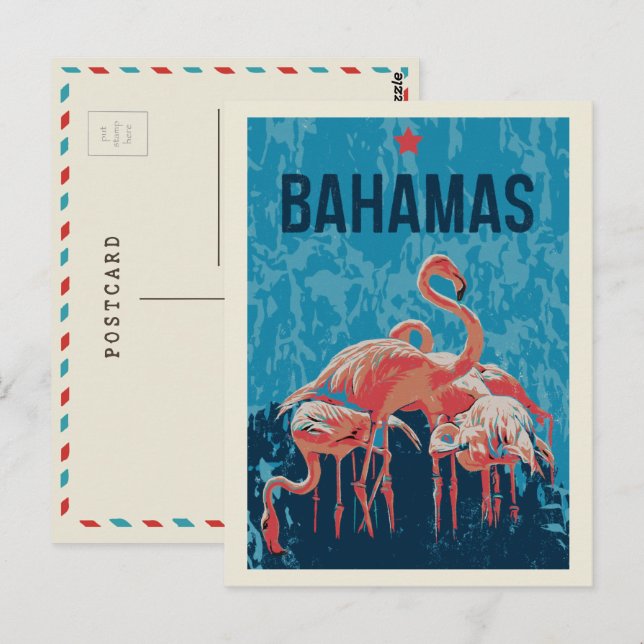 Bahamas Karibischer Rosa Flamingos Postcard Postkarte (Vorne/Hinten)