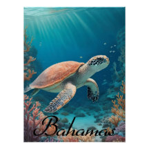 Bahamas Meeresschildkröte Reiseplakat