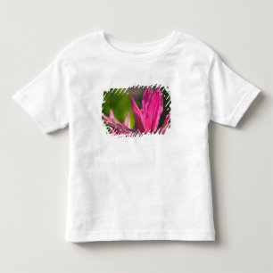 BAHAMAS, New Providence Island, Nassau: Paradies Kleinkind T-shirt