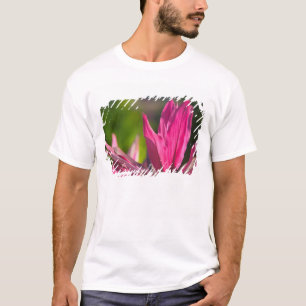 BAHAMAS, New Providence Island, Nassau: Paradies T-Shirt