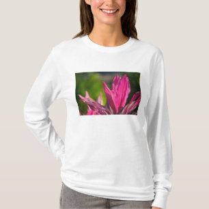 BAHAMAS, New Providence Island, Nassau: Paradies T-Shirt