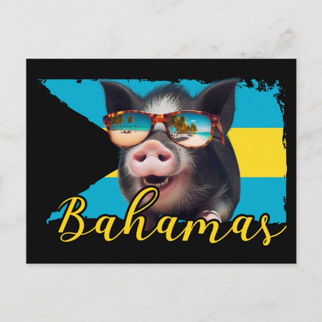 Bahamas Schwimmen Schweine - Exuma Pig Beach Adven Postkarte (Vorderseite)
