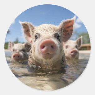 Bahamas Schwimmende Schweine - Exuma Schweine Stra Runder Aufkleber