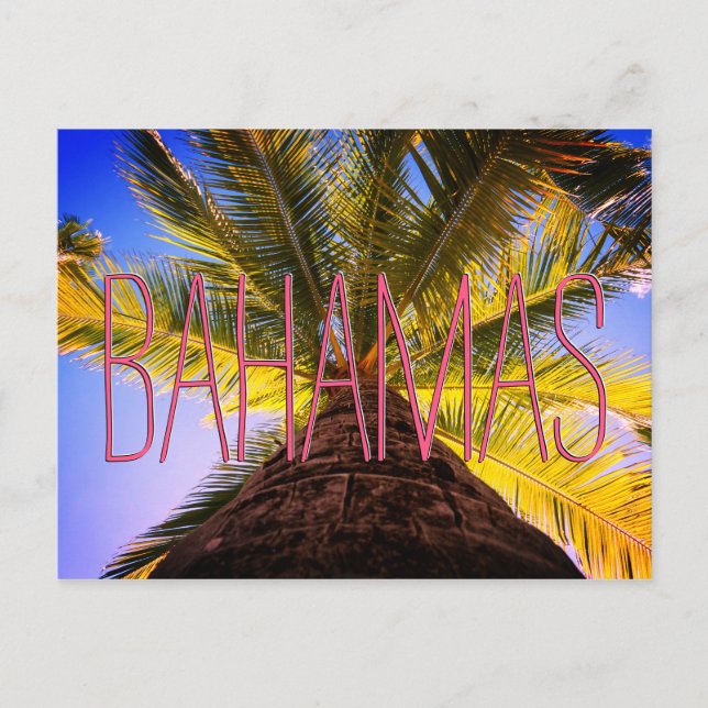 Bahamian Tree Postkarte (Vorderseite)